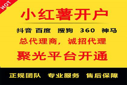 百度推广费用的投入与市场占有率提升的关联案例